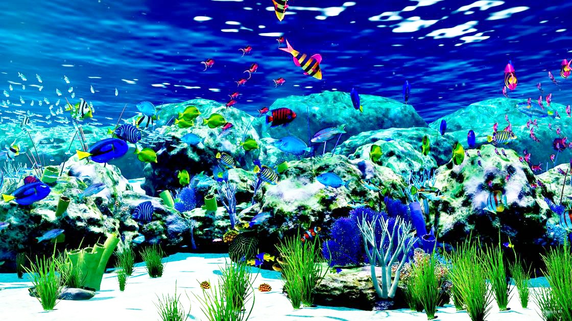 Custom striped fish swimming with the others