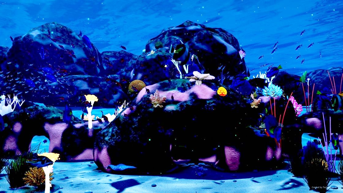 The reef at night with glowing coral