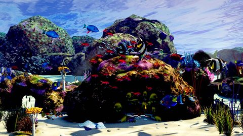 The reef at dusk
