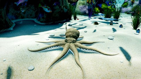 The octopus crossing the sand