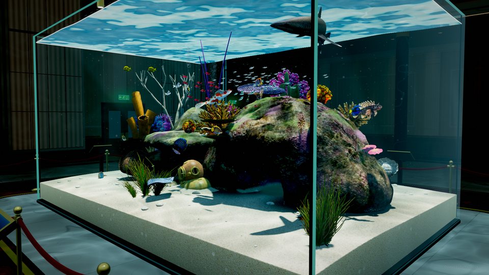 The tank seen from its corner, both panes of glass meeting