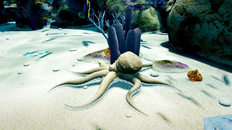 Octopus Boy stretched out on the sand
