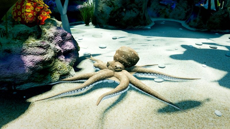 Octopus Boy coloured like the rock beside him