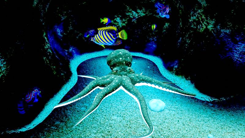 Octopus Boy in his cave under the big rock